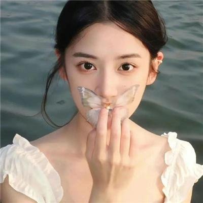 被驱逐的馆长